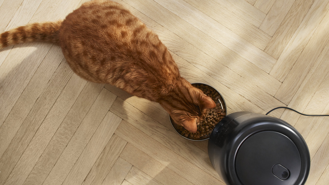 PS_2024_PAW5320_02_FIM6_16x9